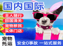 启阳航空快运国际宠物托运 【国